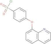 4-(Quinolin-8-yloxy)benzene-1-sulfonyl chloride