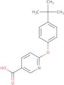 6-(4-tert-Butylphenoxy)pyridine-3-carboxylic acid
