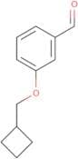 3-(Cyclobutylmethoxy)benzaldehyde
