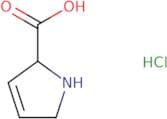 2,5-Dihydro-1H-pyrrole-2-carboxylic acid hydrochloride