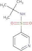 N-tert-Butylpyridine-3-sulfonamide