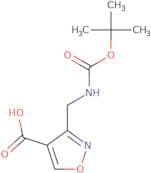 3-({[(tert-Butoxy)carbonyl]amino}methyl)-1,2-oxazole-4-carboxylic acid