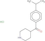 4-[4-(Propan-2-yl)benzoyl]piperidine hydrochloride