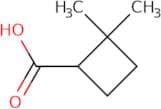 2,2-Dimethylcyclobutane-1-carboxylic acid