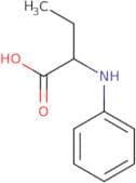 2-(Phenylamino)butanoic acid