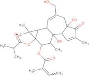 12-o-Tiglylphorbol-13 -isobutyrate