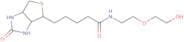 N-[2-(2-Hydroxyethoxy)ethyl]-biotinamide