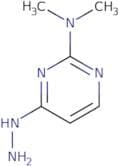4-Hydrazinylidene-N,N-dimethyl-1,4-dihydropyrimidin-2-amine