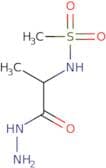 N-[1-(Hydrazinecarbonyl)ethyl]methanesulfonamide