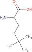 2-Amino-5,5-dimethylhexanoic acid