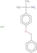 2-[4-(Benzyloxy)phenyl]propan-2-amine hydrochloride