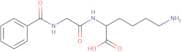 Bz-Gly-Lys [Hippuryl-Lysine]