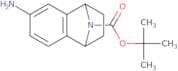 tert-Butyl 4-amino-11-azatricyclo[6.2.1.0,2,7]undeca-2,4,6-triene-11-carboxylate