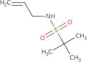 2-Methyl-N-(prop-2-en-1-yl)propane-2-sulfonamide
