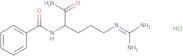 Bz-Arg-NH2  •  HCl •  H20