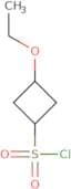 3-Ethoxycyclobutane-1-sulfonyl chloride