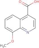 8-Methoxyquinoline-4-carboxylic acid
