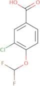 3-chloro-4-(difluoromethoxy)benzoic acid