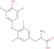 Thyroxine-13C6