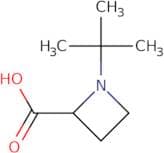 1-tert-Butyl-azetidine-2-carboxylic acid