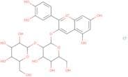 Cyanidin 3-sophoroside chloride