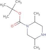 tert-Butyl 2,5-dimethylpiperazine-1-carboxylate