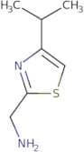 [4-(Propan-2-yl)-1,3-thiazol-2-yl]methanamine