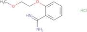 2-(2-Methoxyethoxy)benzene-1-carboximidamide hydrochloride