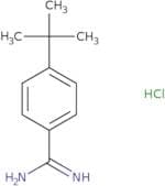 4-tert-Butylbenzenecarboximidamide Hydrochloride