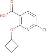 6-Chloro-2-cyclobutoxypyridine-3-carboxylic acid