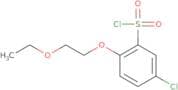 5-Chloro-2-(2-ethoxyethoxy)benzene-1-sulfonyl chloride