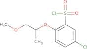 5-Chloro-2-[(1-methoxypropan-2-yl)oxy]benzene-1-sulfonyl chloride