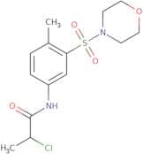 2-Chloro-N-[4-methyl-3-(morpholine-4-sulfonyl)phenyl]propanamide
