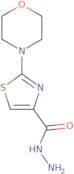2-(Morpholin-4-yl)-1,3-thiazole-4-carbohydrazide