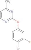 2-(4-Bromo-3-fluorophenoxy)-4-methylpyrimidine