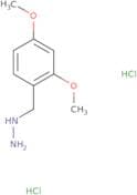 [(2,4-Dimethoxyphenyl)methyl]hydrazine dihydrochloride