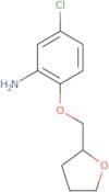 5-Chloro-2-(tetrahydro-2-furanylmethoxy)aniline