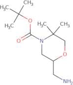 tert-Butyl 2-(aminomethyl)-5,5-dimethylmorpholine-4-carboxylate