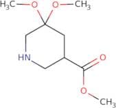 Methyl 5,5-dimethoxypiperidine-3-carboxylate