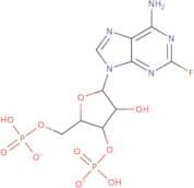 Poly(2'-Fluoro-2'-Deoxyadenylic Acid)