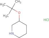 (3S)-3-(tert-Butoxy)piperidine hydrochloride