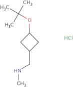 Methyl({[(1S,3S)-3-(tert-butoxy)cyclobutyl]methyl})amine hydrochloride