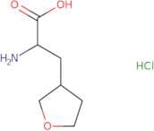 2-Amino-3-(oxolan-3-yl)propanoic acid hydrochloride