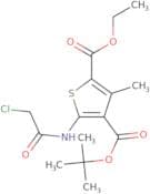 4-tert-Butyl 2-ethyl 5-(2-chloroacetamido)-3-methylthiophene-2,4-dicarboxylate