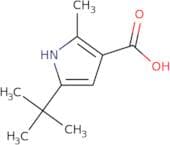 5-tert-Butyl-2-methyl-1-pyrrole-3-carboxylic acid