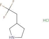 3-(2,2,2-Trifluoroethyl)pyrrolidine hydrochloride