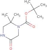 tert-Butyl 2,2-dimethyl-5-oxopiperazine-1-carboxylate