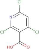 2,4,6-Trichloronicotinic acid
