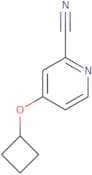 4-Cyclobutoxypyridine-2-carbonitrile
