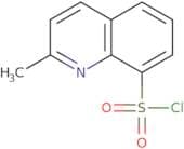 2-Methyl-8-quinoxalinesulfonyl Chloride